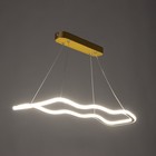 Светильник с ПДУ "Вейви" LED 32Вт 3000-6000К золото 60х100 см - фото 23948047