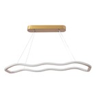 Светильник с ПДУ "Вейви" LED 32Вт 3000-6000К золото 60х100 см - фото 23948049