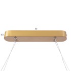 Светильник с ПДУ "Вейви" LED 32Вт 3000-6000К золото 60х100 см - фото 23948050