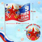 Карнавальный набор «День победы!», р. 42–54, дождевик, флажок - фото 9489047