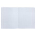 Тетрадь 48 листов в клетку на скрепке "Не просто коты...", обложка мелованный картон, твин-лак, УФ-лак, блок офсет, МИКС - фото 24443726