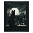 Тетрадь 48 листов в клетку на скрепке "Не просто коты...", обложка мелованный картон, твин-лак, УФ-лак, блок офсет, МИКС - фото 24443727