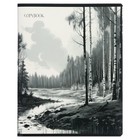 Тетрадь 96 листов в клетку на скрепке "Родные просторы", обложка мелованный картон, твин-лак, УФ-лак, блок офсет, МИКС (комплект 2 шт) - фото 23848147