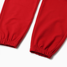 Костюм женский (толстовка, брюки) MIST Punk с вышивкой, размер 48-50, красный - Фото 11