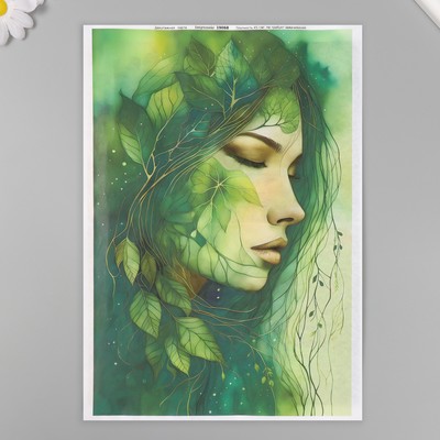 Набор декупажных карт 6 шт «Нимфа», 45 г/м2, формат А4