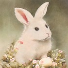 Набор декупажных карт 3 шт «Кролик в цветочной корзине», 45 г/м2, формат А4 - фото 9626343