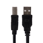 Кабель Exployd EX-K-1480, USB A (m) - USB B (m), 5 м, черный 10392789 - фото 14300994