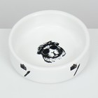 Миска керамическая для грызунов "Чёрно-белый" 80 мл  8,5 х 3 см - фото 9489490