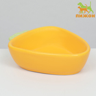 Миска керамическая для грызунов "Морковь" 11 х 8,5 см - Фото 2