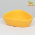 Миска керамическая для грызунов "Морковь" 11 х 8,5 см 9942192 - фото 16262013