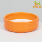 Миска керамическая с морковками 80 мл  8,8 х 8,8 х 3 см, оранжевая - фото 9489508