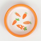 Миска керамическая с морковками 100 мл  8,8 х 8,8 х 3 см, оранжевая - Фото 5