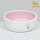 Миска керамическая для кроликов 200 мл  10 х 3,7 см, розовая/белая - Фото 2