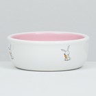 Миска керамическая для кроликов 200 мл  10 х 3,7 см, розовая/белая - фото 9489511