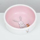 Миска керамическая для кроликов 200 мл  10 х 3,7 см, розовая/белая - Фото 4