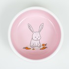 Миска керамическая для кроликов 200 мл  10 х 3,7 см, розовая/белая - фото 9489513