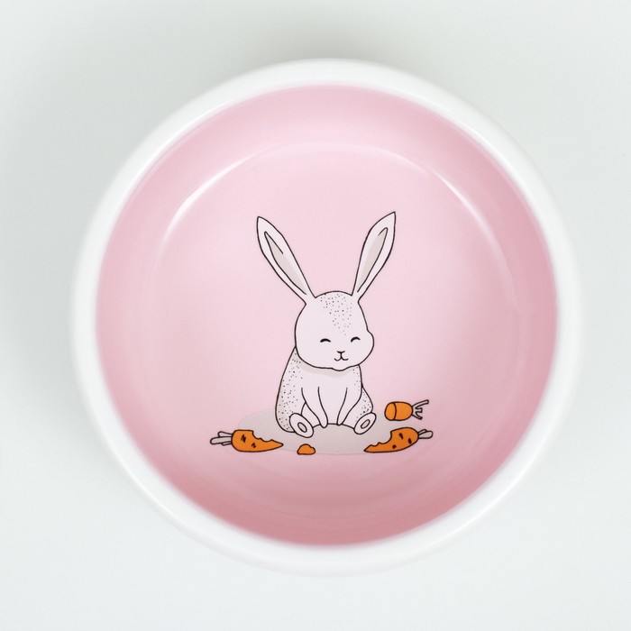Миска керамическая для кроликов 200 мл  10 х 3,7 см, розовая/белая