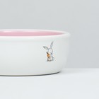 Миска керамическая для кроликов 200 мл  10 х 3,7 см, розовая/белая - фото 9489514