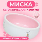 Миска керамическая для кроликов 200 мл  10 х 3,7 см, розовая/белая - фото 3379923