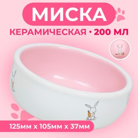 Миска керамическая для кроликов 200 мл  10 х 3,7 см, розовая/белая 9942194