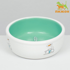 Миска для кроликов, 200 мл, 10×3.7 см, керамика, мятная, белая - Фото 2