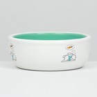 Миска для кроликов, 200 мл, 10×3.7 см, керамика, мятная, белая - Фото 3