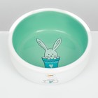 Миска для кроликов, 200 мл, 10×3.7 см, керамика, мятная, белая - Фото 4