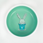 Миска для кроликов, 200 мл, 10×3.7 см, керамика, мятная, белая - Фото 5