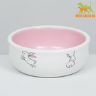 Миска керамическая для кроликов 200 мл  10 х 3,7 см, бело-розовая - фото 9489520