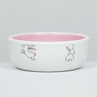 Миска керамическая для кроликов 200 мл  10 х 3,7 см, бело-розовая - фото 9489521
