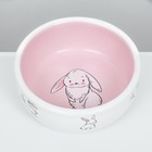 Миска керамическая для кроликов 200 мл  10 х 3,7 см, бело-розовая - фото 9489522