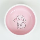 Миска керамическая для кроликов 200 мл  10 х 3,7 см, бело-розовая - фото 9489523