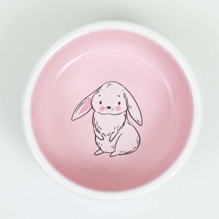 Миска керамическая для кроликов 200 мл  10 х 3,7 см, бело-розовая