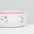 Миска керамическая для кроликов 200 мл  10 х 3,7 см, бело-розовая - фото 9489524
