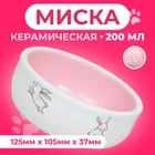 Миска керамическая для кроликов 200 мл  10 х 3,7 см, бело-розовая - Фото 1