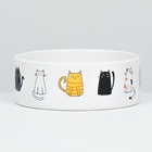 Миска керамическая «Котяры» 300 мл 12.5×4.5 см, белая - Фото 3