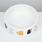 Миска керамическая «Котяры» 300 мл 12.5×4.5 см, белая - Фото 4