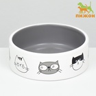 Миска керамическая «Четыре кота» 300 мл 12.5×4.5 см, белая/серая - Фото 2