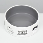 Миска керамическая «Четыре кота» 300 мл 12.5×4.5 см, белая/серая - Фото 3