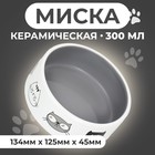 Миска керамическая "Четыре кота" 300 мл  12,5 x 4,5 cм, бело-серая - Фото 1
