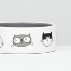 Миска керамическая «Четыре кота» 300 мл 12.5×4.5 см, белая/серая - Фото 5