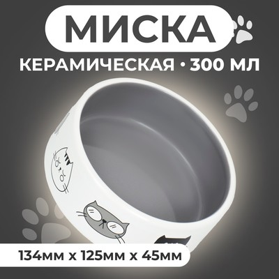 Миска керамическая "Четыре кота" 300 мл  12,5 x 4,5 cм, бело-серая