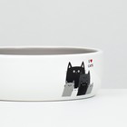 Миска керамическая "Любимые коты" 300 мл  13,4 x 4 cм, серо-белая - Фото 5