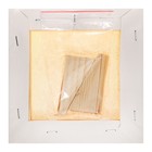 Холст на подрамнике, хлопок 100%, 15 х 15 см, акриловый грунт, НАБОР 5 штук, Гамма "Студия", мелкозернистый, 280 г/м2 - фото 23961231