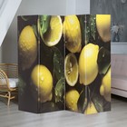 Ширма "Лимоны в листьях", 200х160 см - фото 12400406