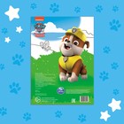 Раскраска с заданиями «Щенки на миссии», А4, 36 стр., Щенячий патруль - Фото 5
