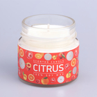 Свеча ароматическая в банке "Апельсин и гранат", совый воск, 80 г - Фото 5