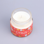 Свеча ароматическая в банке "Апельсин и гранат", совый воск, 80 г - Фото 6