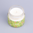 Ароматическая свеча в банке «Мятный лайм», соевый воск, 80 г - Фото 6