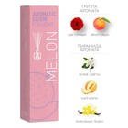 Ароматический диффузор BAGO home, сочная дыня, с палочками, для дома, 40 мл - Фото 2